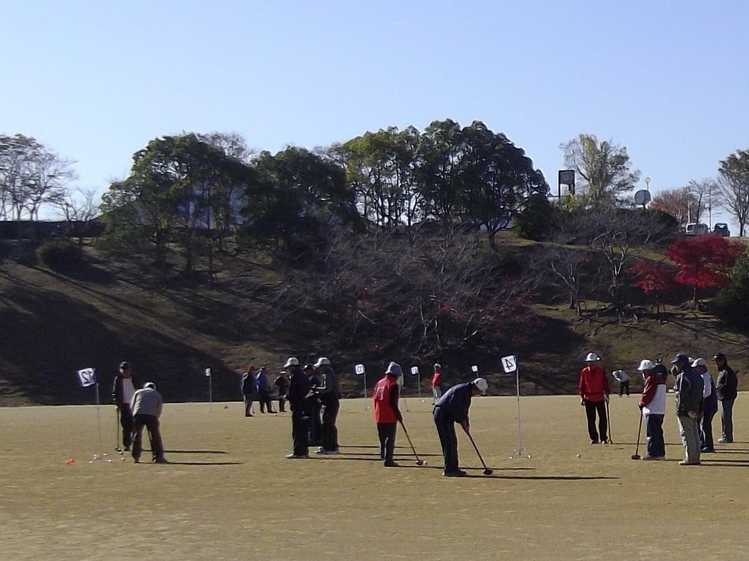 活動 全国年金受給者団体連合会